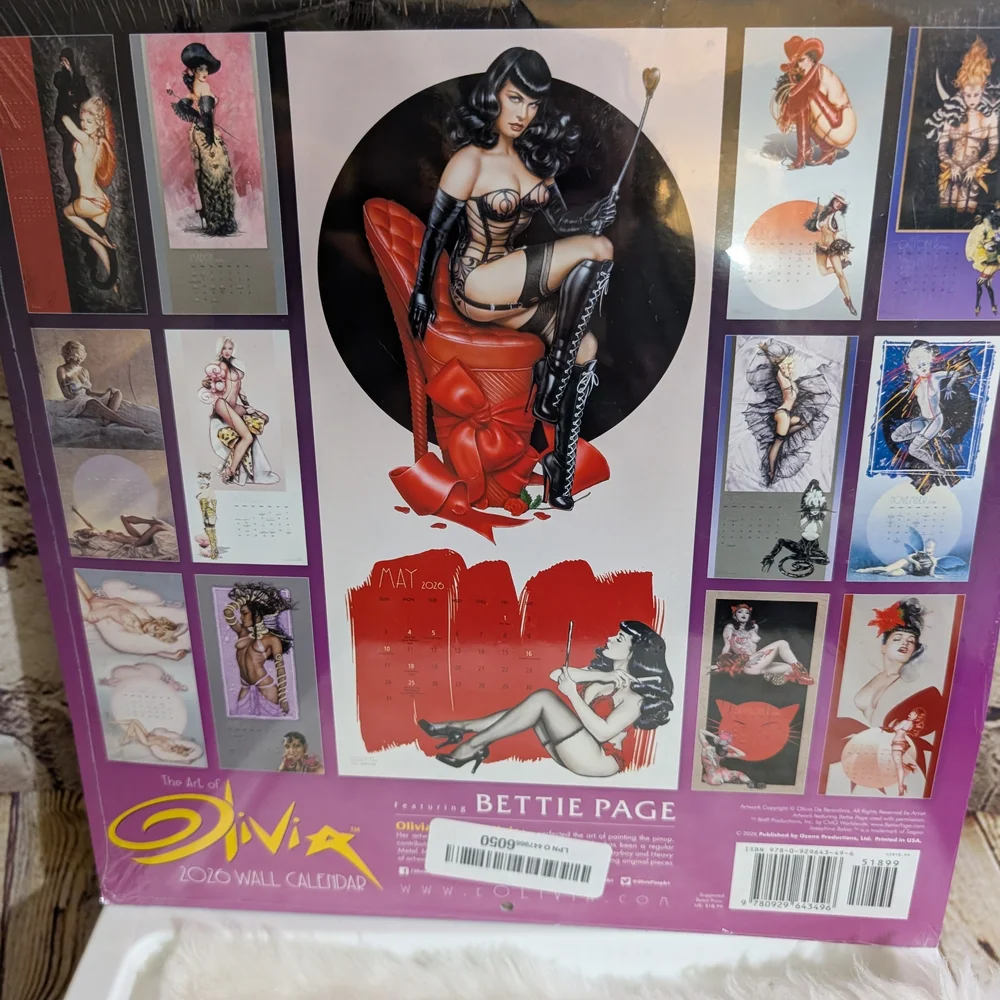 ♥️The Art of Olivia De Berardinis Bettie Page 2026 Wall Calendar SEALED NEW
